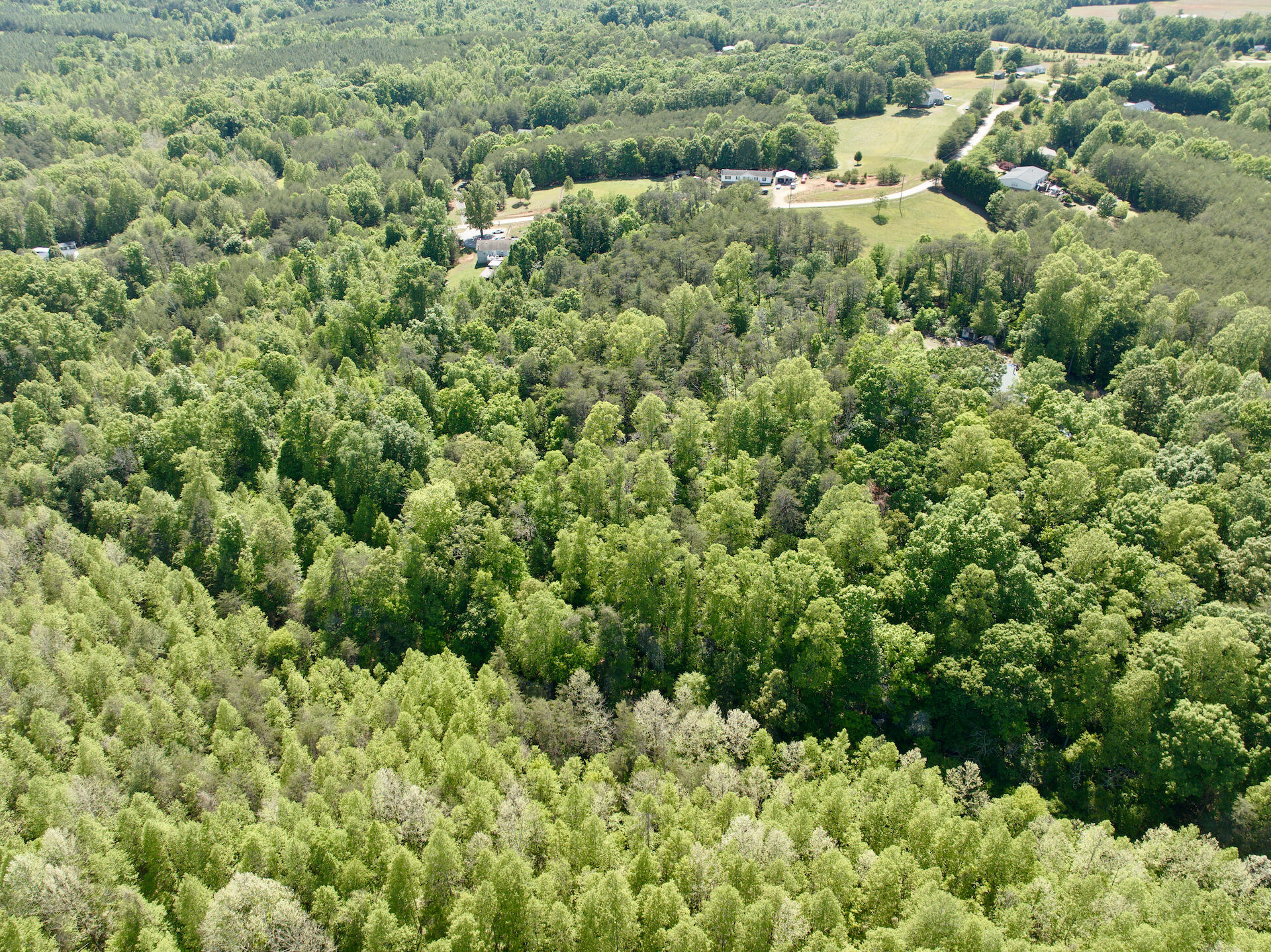 0 River Ridge Lane Axton, VA 24054 - Photo 7 of 44 a view of a lush green forest with lots of trees