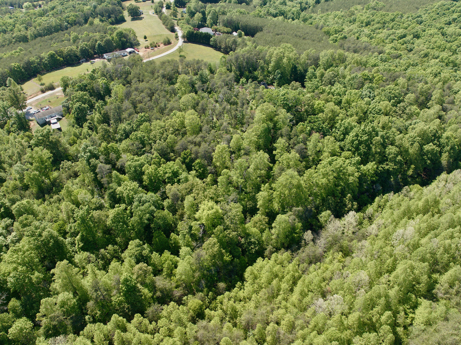 0 River Ridge Lane Axton, VA 24054 - Photo 8 of 44 an aerial view of residential house with outdoor space and trees all around