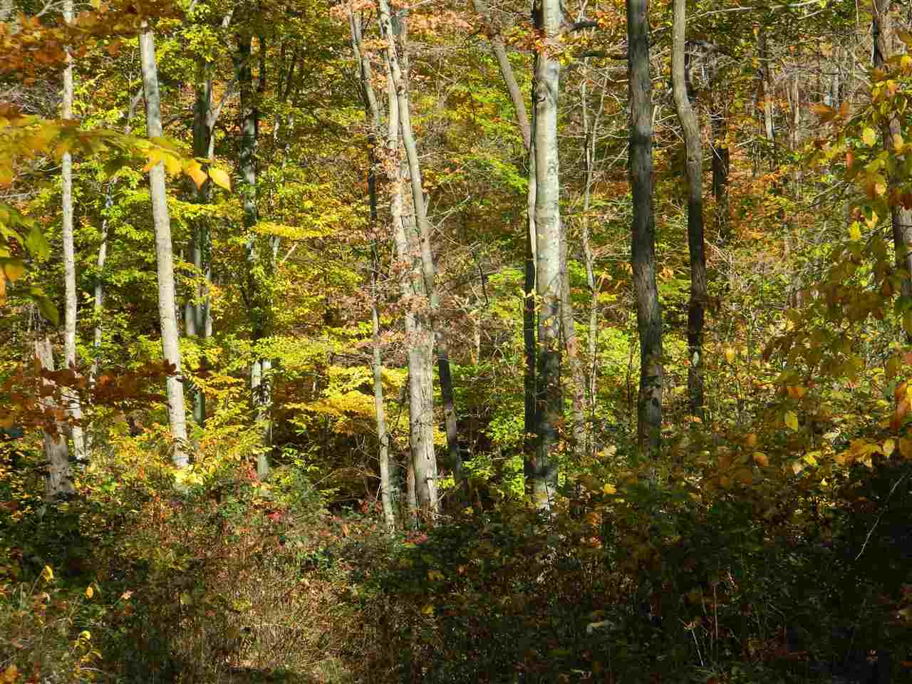 4409 North Yukon Road Milltown, IN 47145 - Photo 2 of 9 Gallery Image 2