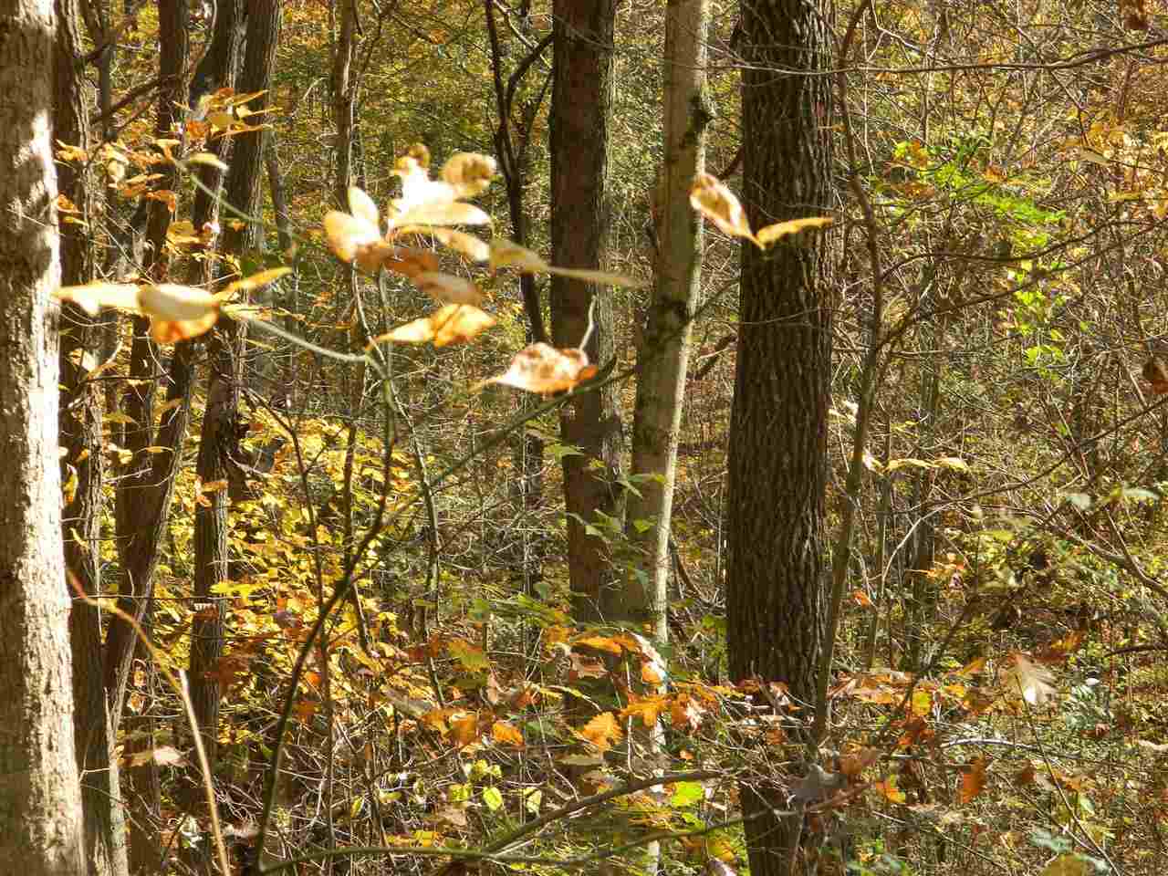 4409 North Yukon Road Milltown, IN 47145 - Photo 3 of 9 Gallery Image 3