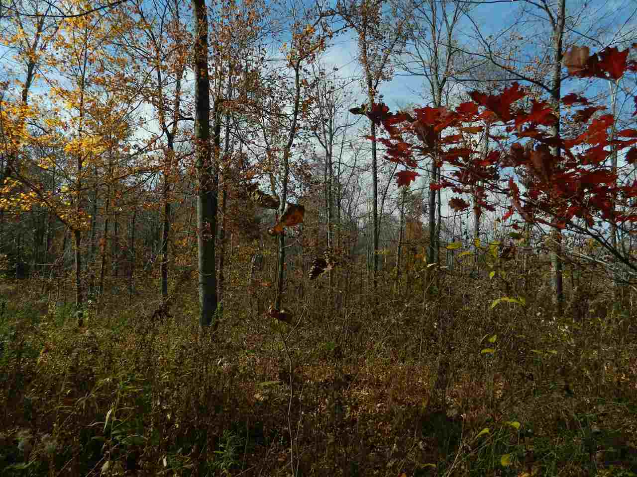 4409 North Yukon Road Milltown, IN 47145 - Photo 8 of 9 Gallery Image 8