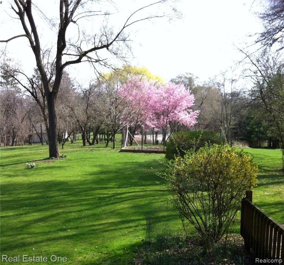 4951 Gallagher Road Rochester, MI 48306 - Photo 6 of 28 springtime yard.jpg