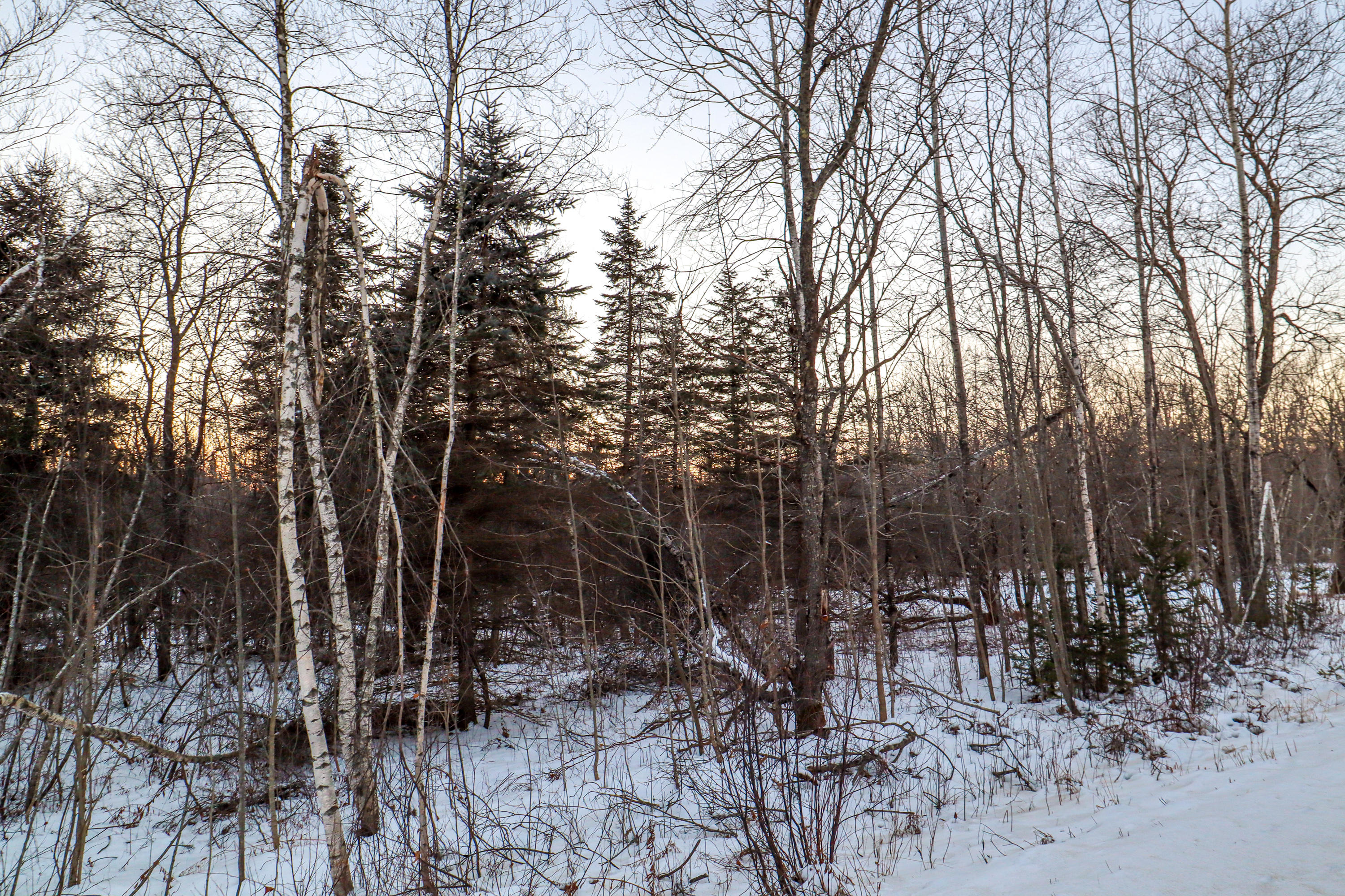 Lot 19 Middle Road Bradford, ME 04410 - Photo 19 of 25 350+/- ft of Frontage
