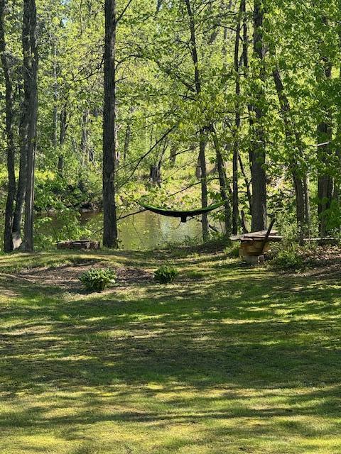 30 Troy Road Burnham, ME 04922 - Photo 5 of 28 IMG_3043