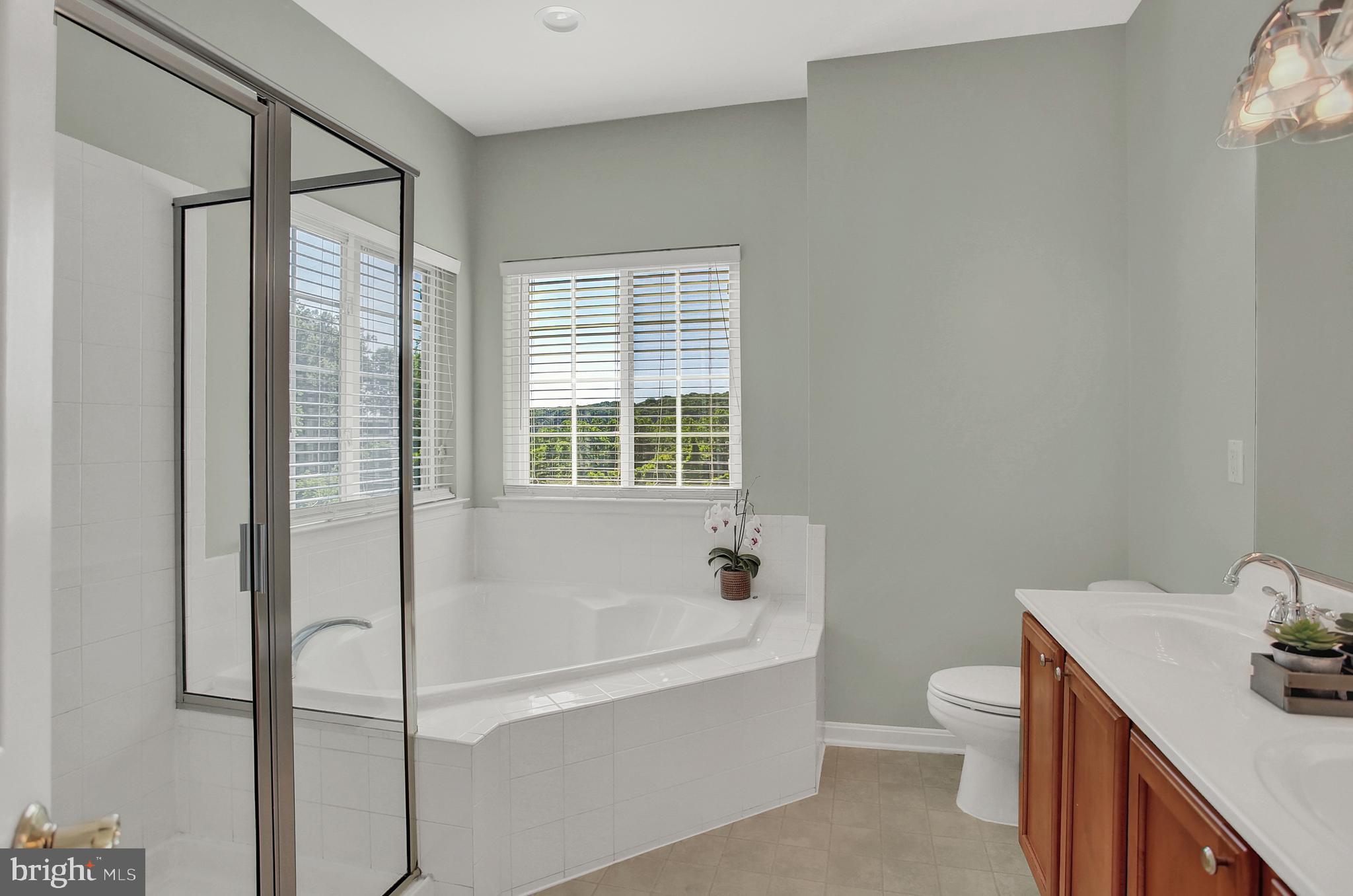 73 Delta Ridge Drive Delta, PA 17314 - Photo 36 of 70 Master bath