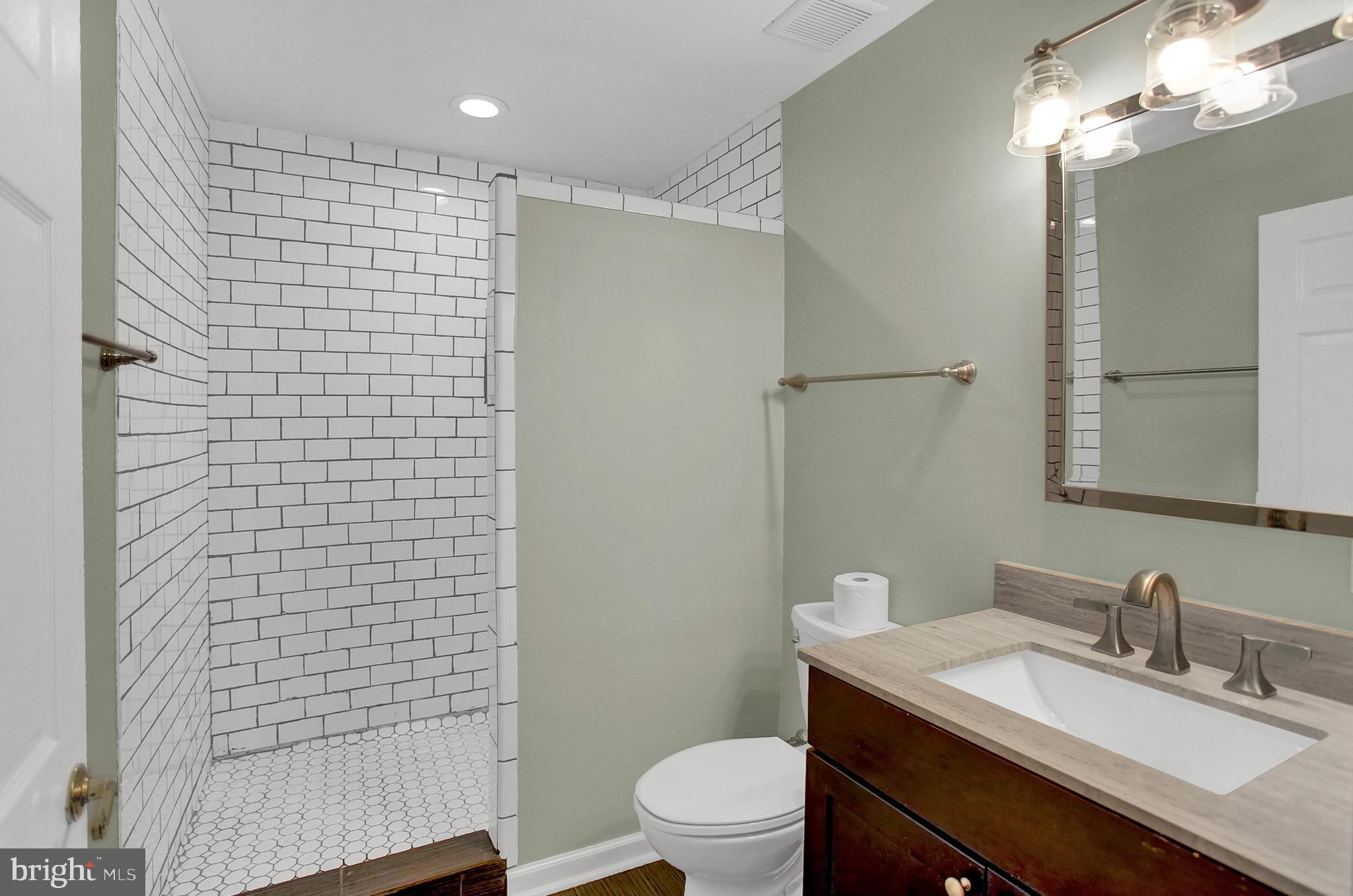 73 Delta Ridge Drive Delta, PA 17314 - Photo 52 of 70 Lower level bathroom with shower