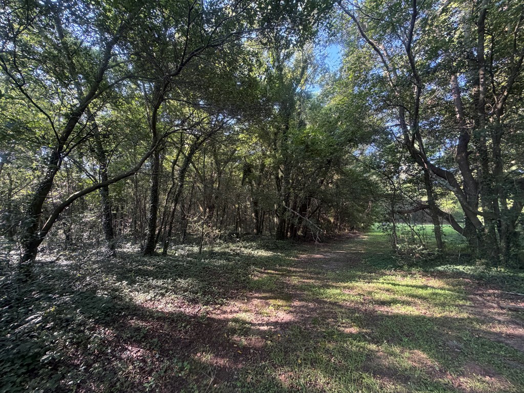 1 Nichols Road Pinckard, AL 36350 - Photo 19 of 29