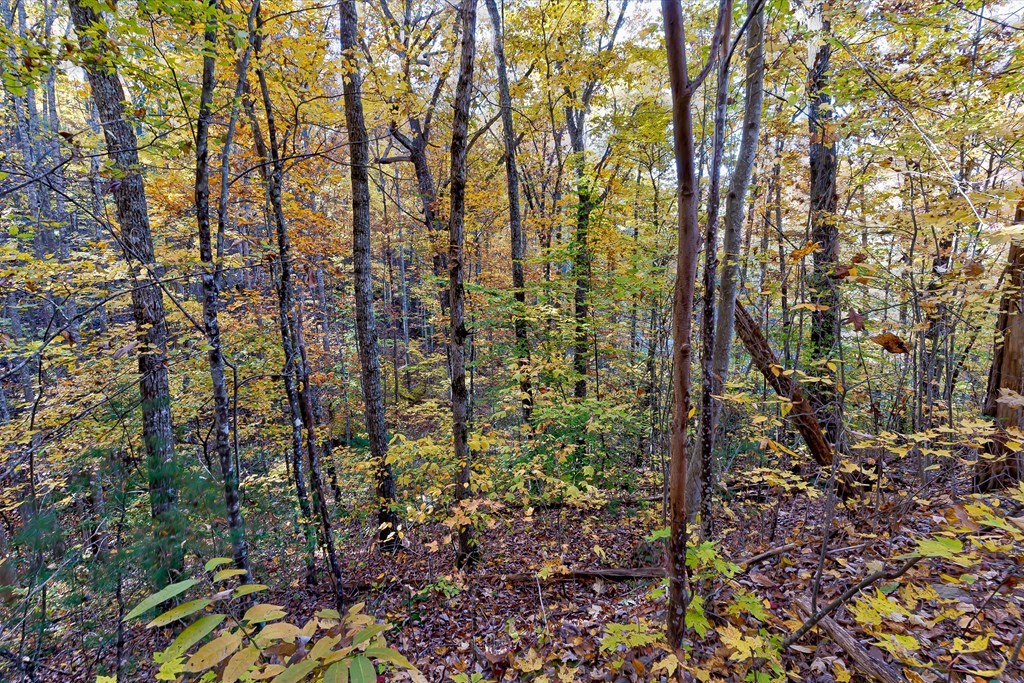58 Harvest Moon Road Sevierville, TN 37862 - Photo 12 of 18 Gallery Image 12