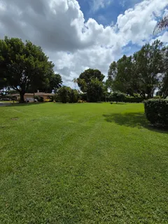 a view of field of grass and trees