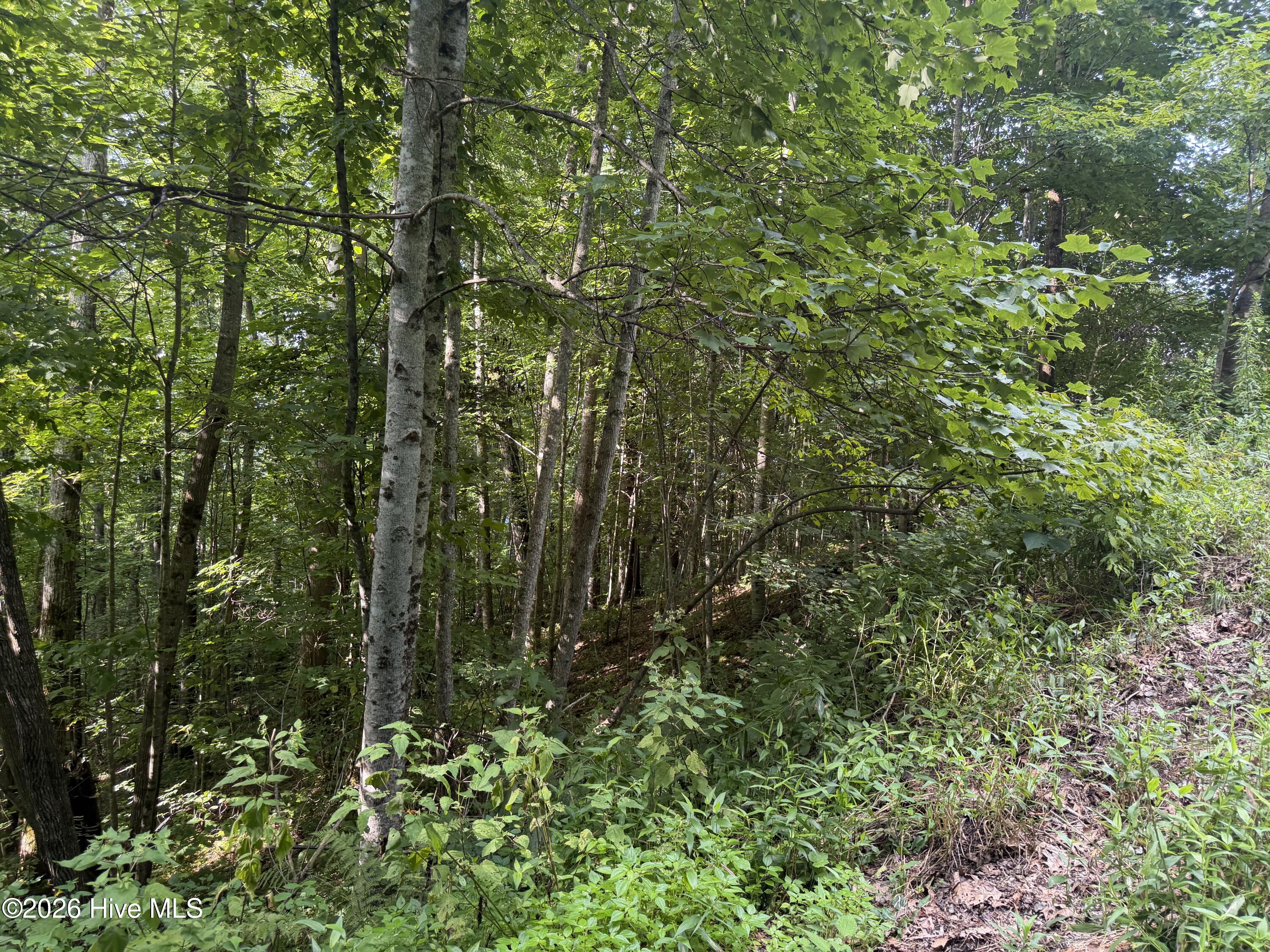 Lot#30 Highlander Road Topton, NC 28781 - Photo 6 of 9 Gallery Image 6