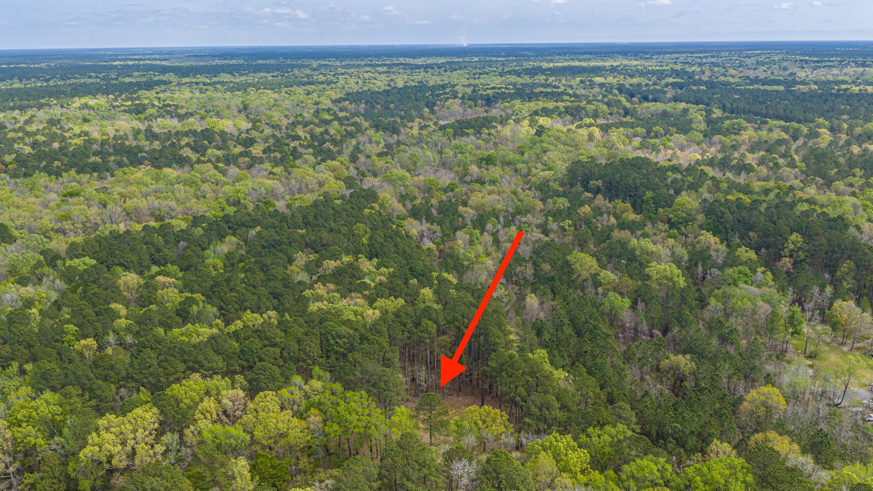 0 Buster's Paradise Lane