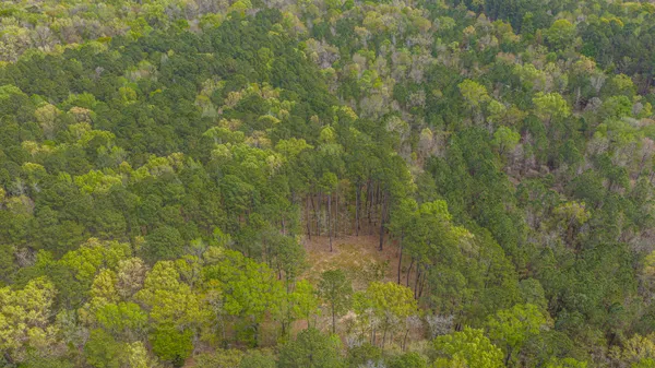 $300,000 | 0 Buster's Paradise Lane, Cordesville, SC 29434