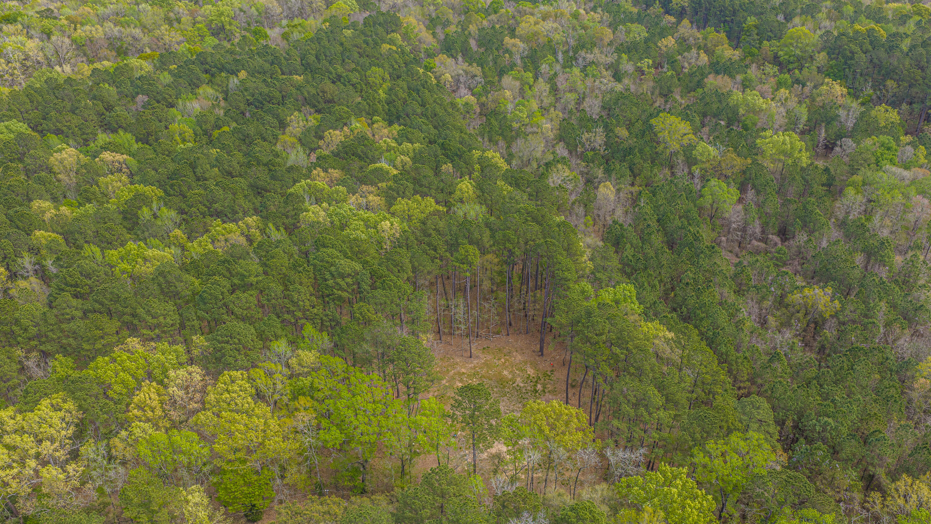 0 Buster's Paradise Lane Cordesville, SC 29434 - Photo 2 of 14 0 Buster's Paradise Lane
