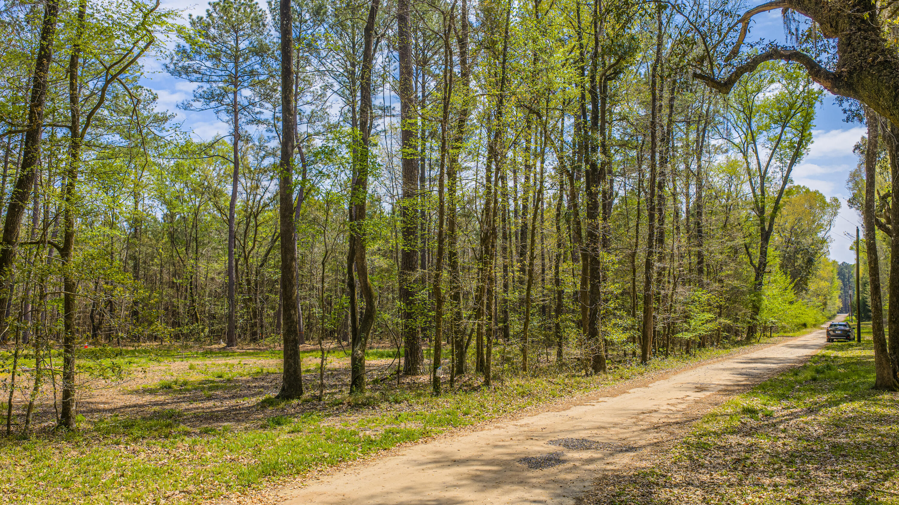 0 Buster's Paradise Lane Cordesville, SC 29434 - Photo 3 of 14 0 Buster's Paradise - Private Road