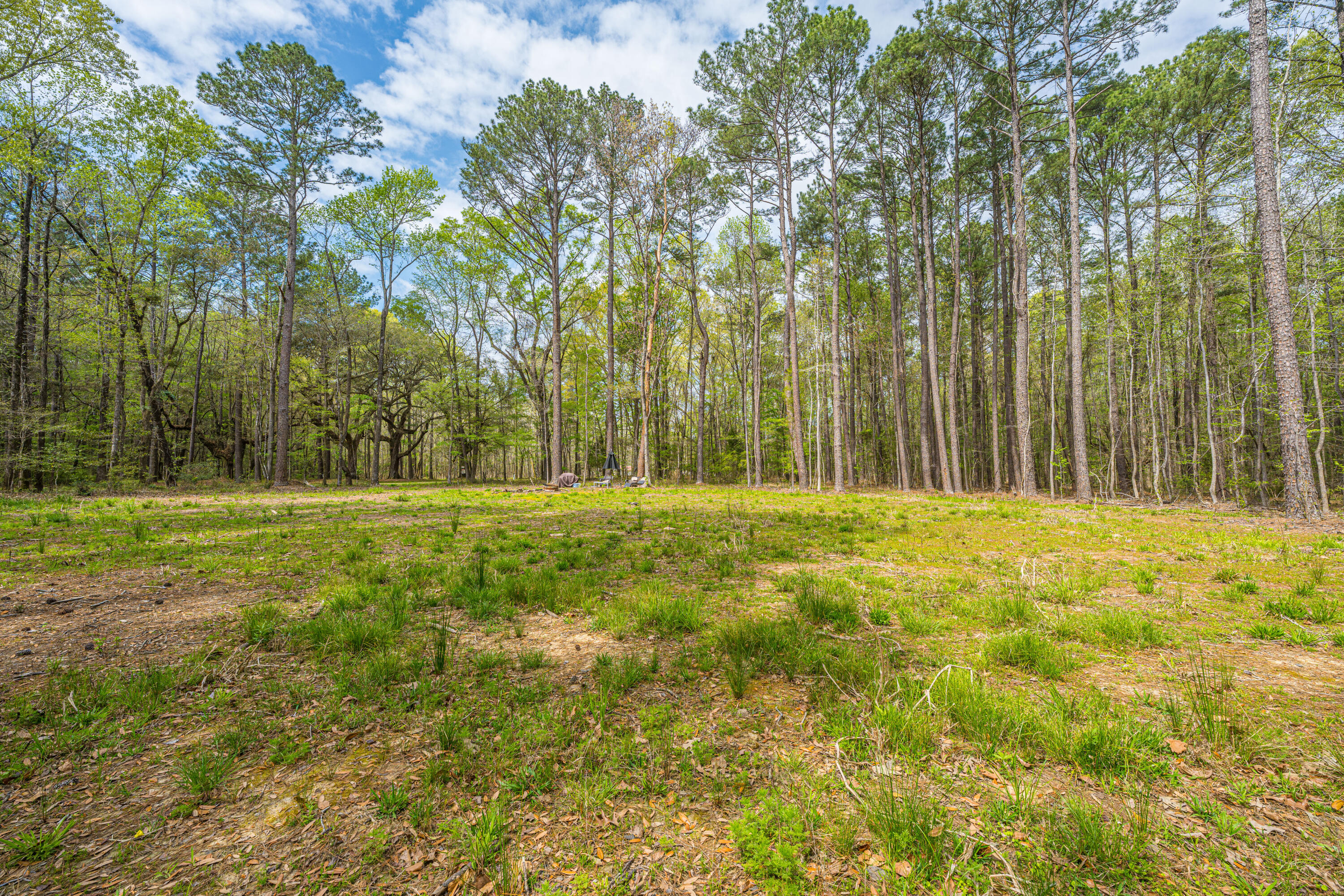 0 Buster's Paradise Lane Cordesville, SC 29434 - Photo 4 of 14 0 Buster's Paradise Lane