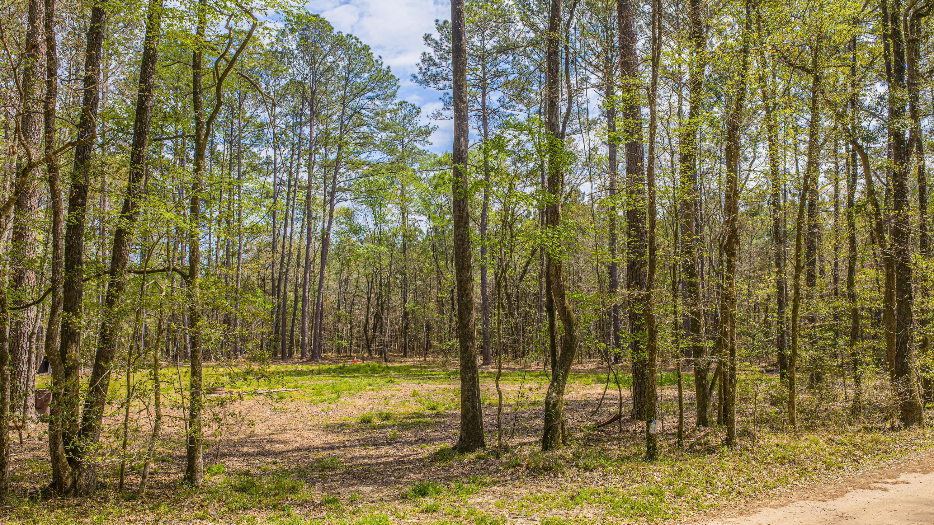 0 Buster's Paradise Lane Cordesville, SC 29434 - Photo 5 of 14 0 Buster's Paradise Lane