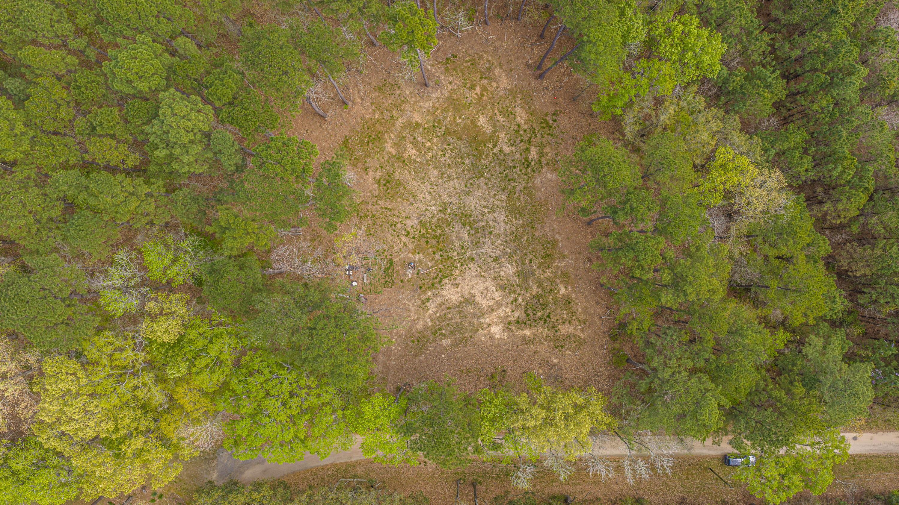 0 Buster's Paradise Lane Cordesville, SC 29434 - Photo 9 of 14 0 Buster's Paradise Lane