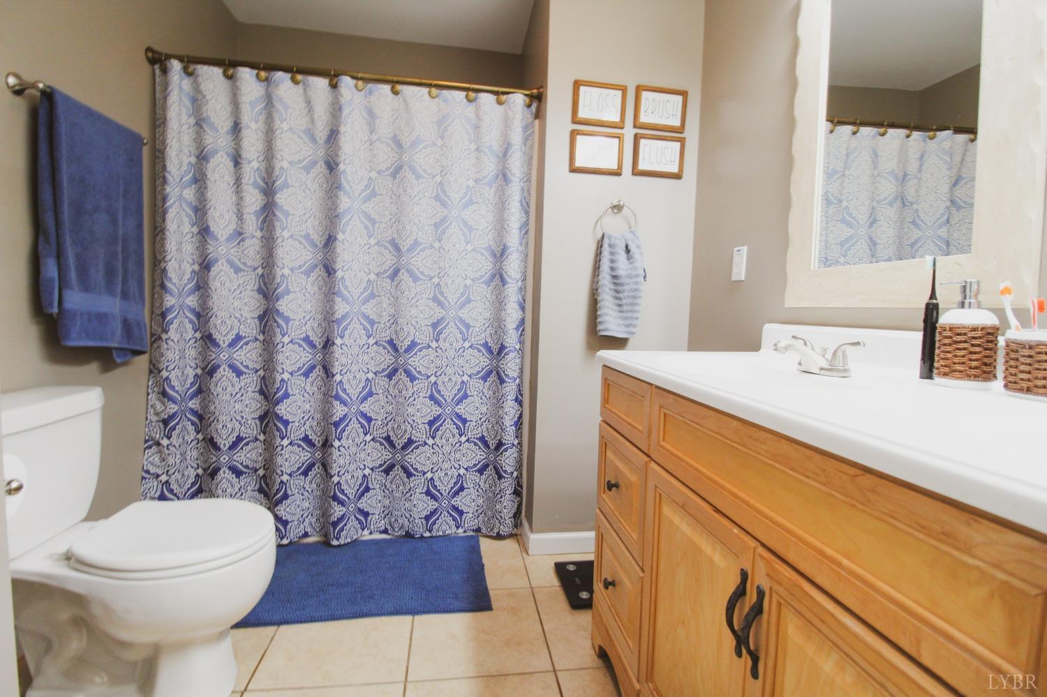 1217 Wood Road Lynchburg, VA 24502 - Photo 20 of 29 a bathroom with a sink a toilet and shower curtain