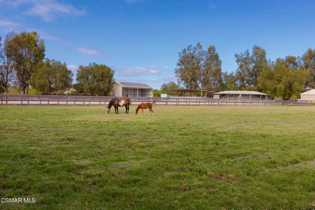4790 Sand Canyon Road Somis, CA 93066 - Photo 57 of 76