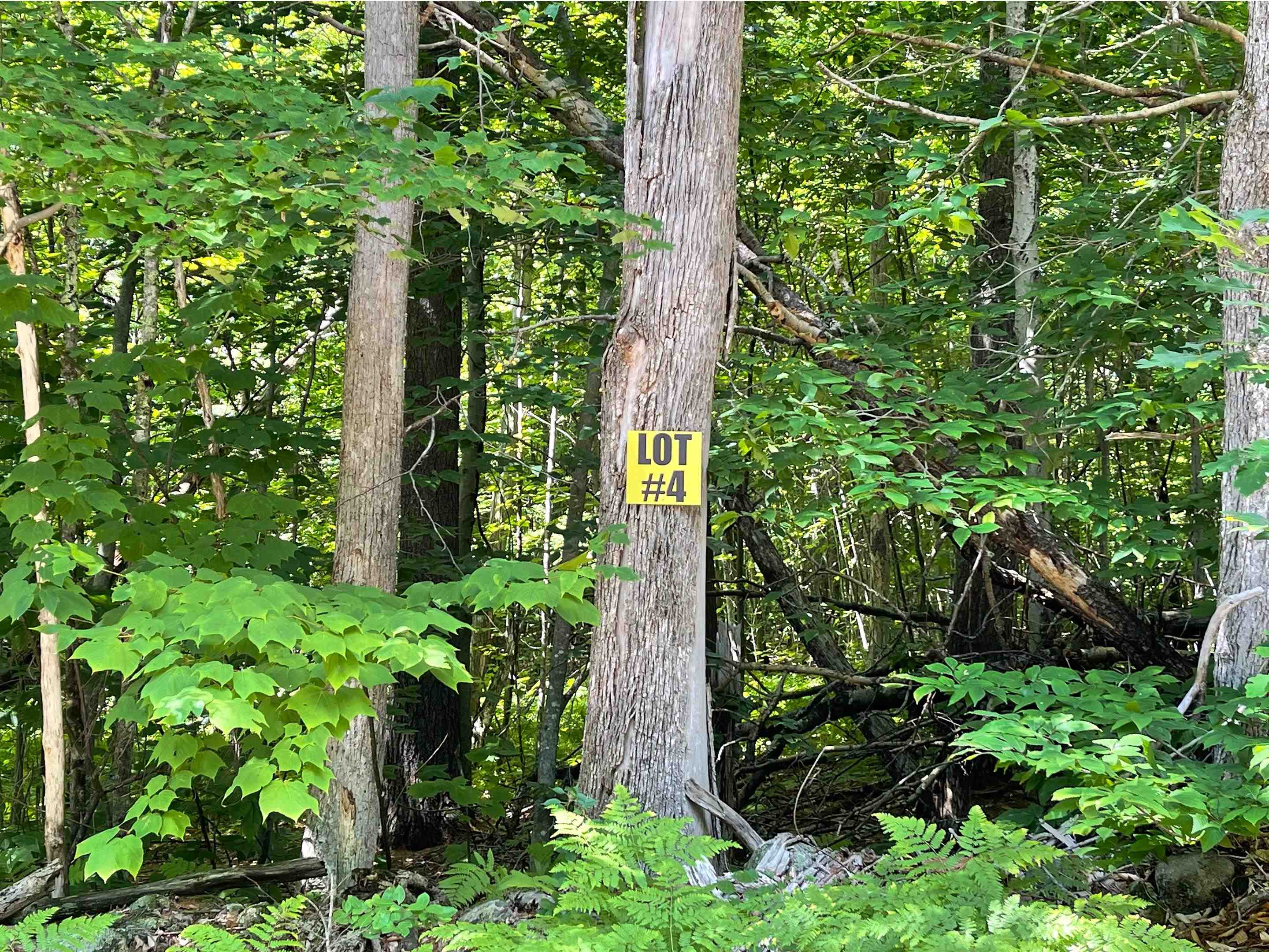 1-c Old Center Harbor Road Meredith, NH 03253 - Photo 2 of 12 Gallery Image 2