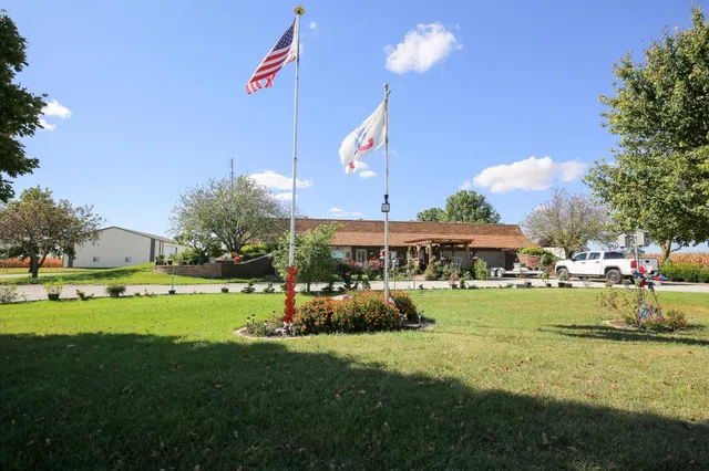 a view of a big yard with potted plants and large trees