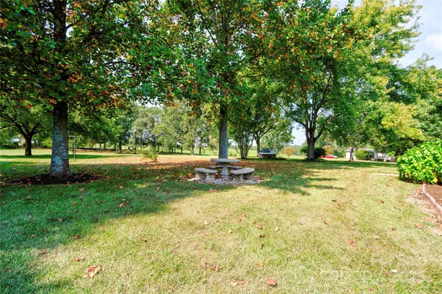 a view of a park with large trees
