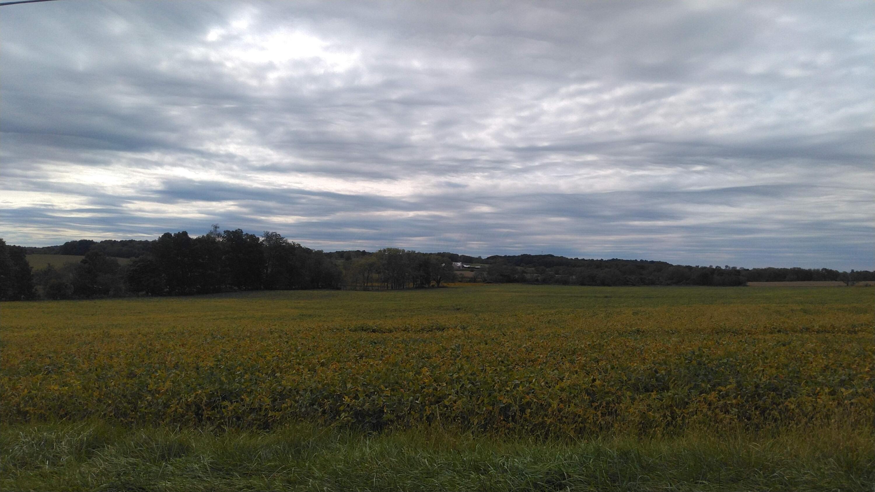 25049 Hopewell Road Gambier, OH 43022 - Photo 10 of 35 Country Views