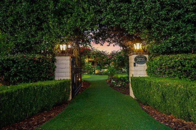 a view of a garden with large trees