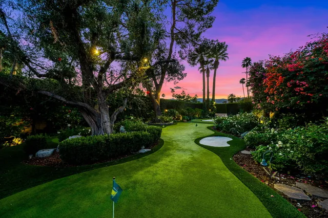 a view of a garden with an tree