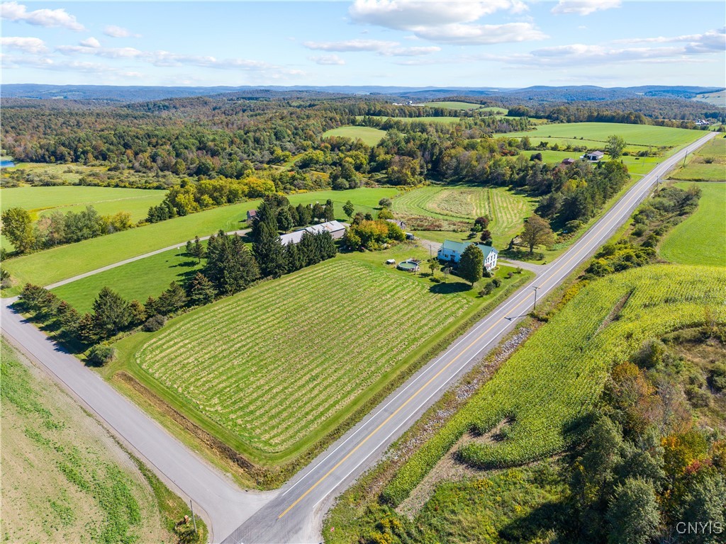 2004 Bradley Brook Road Lebanon, NY 13332 - Photo 5 of 30 Drone Shot - North