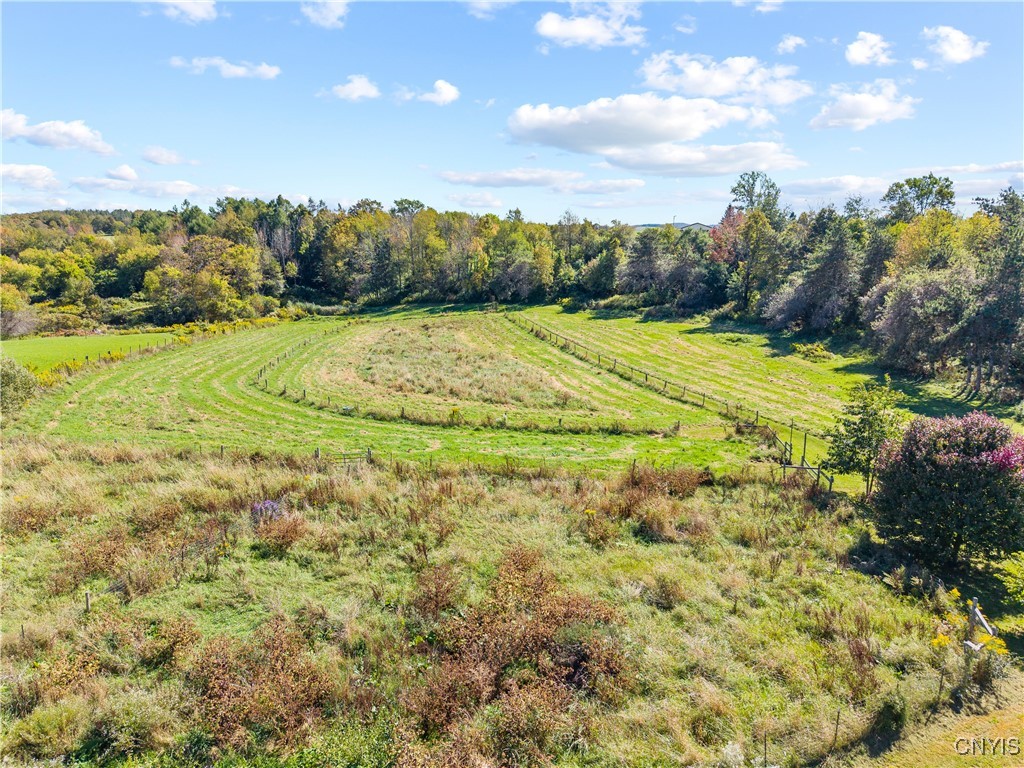 2004 Bradley Brook Road Lebanon, NY 13332 - Photo 9 of 30 Field