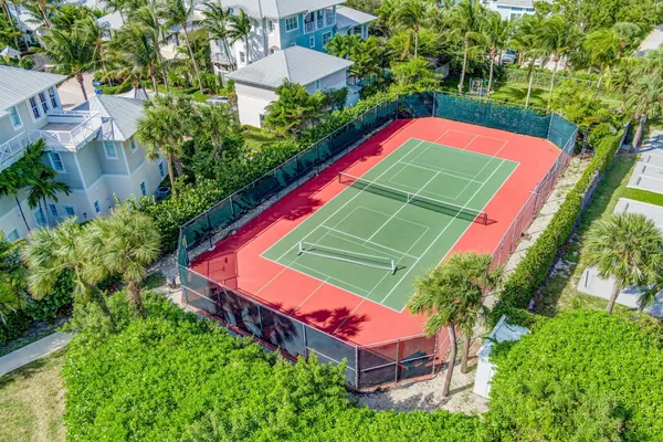 an aerial view of a tennis ground and a large tree