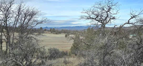 a view of a field with trees in the background