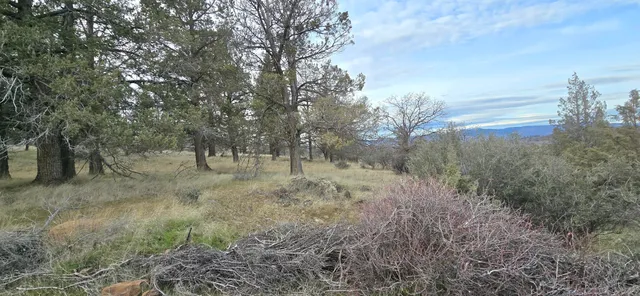 $18,000 | 730-731 Grouse Way, Hornbrook, CA 96044