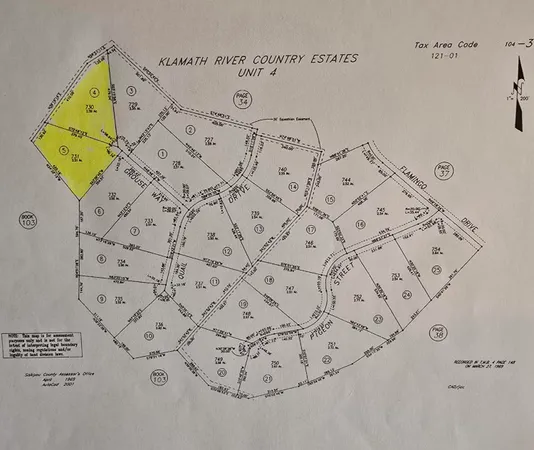 a view of a forest with trees