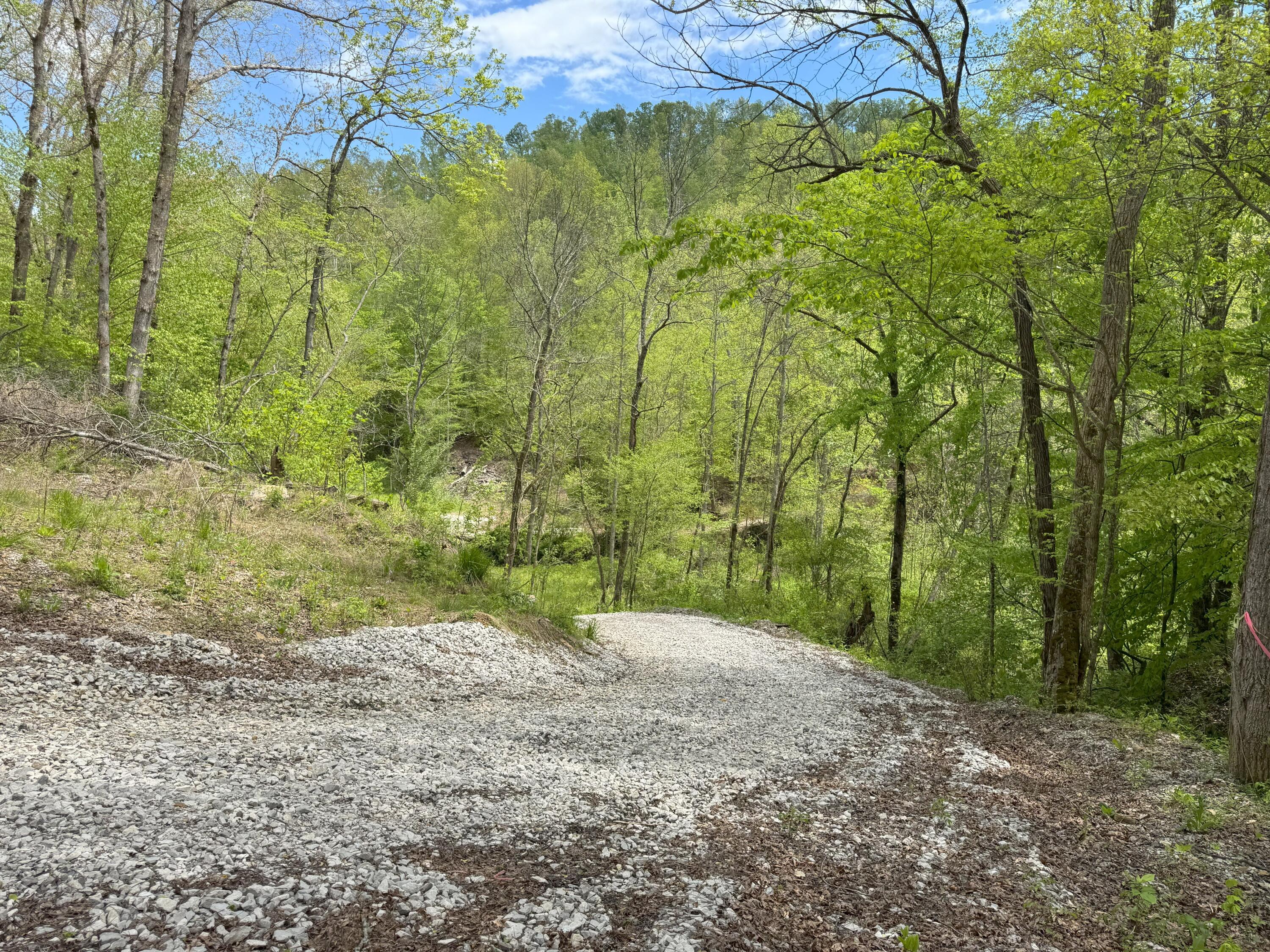 9999 Wind Cave Road McKee, KY 40447 - Photo 4 of 27 Driveway #2