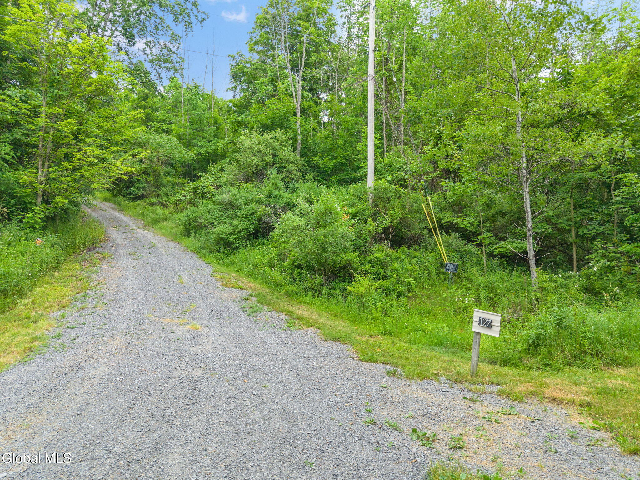 127 Grassy Road Blenheim, NY 12131 - Photo 36 of 44 37-127GrassyRd_26