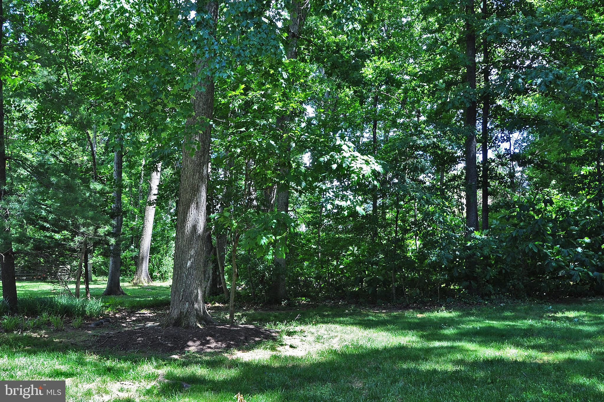 38 Carrollton Road Sterling, VA 20165 - Photo 50 of 53 Back Yard View
