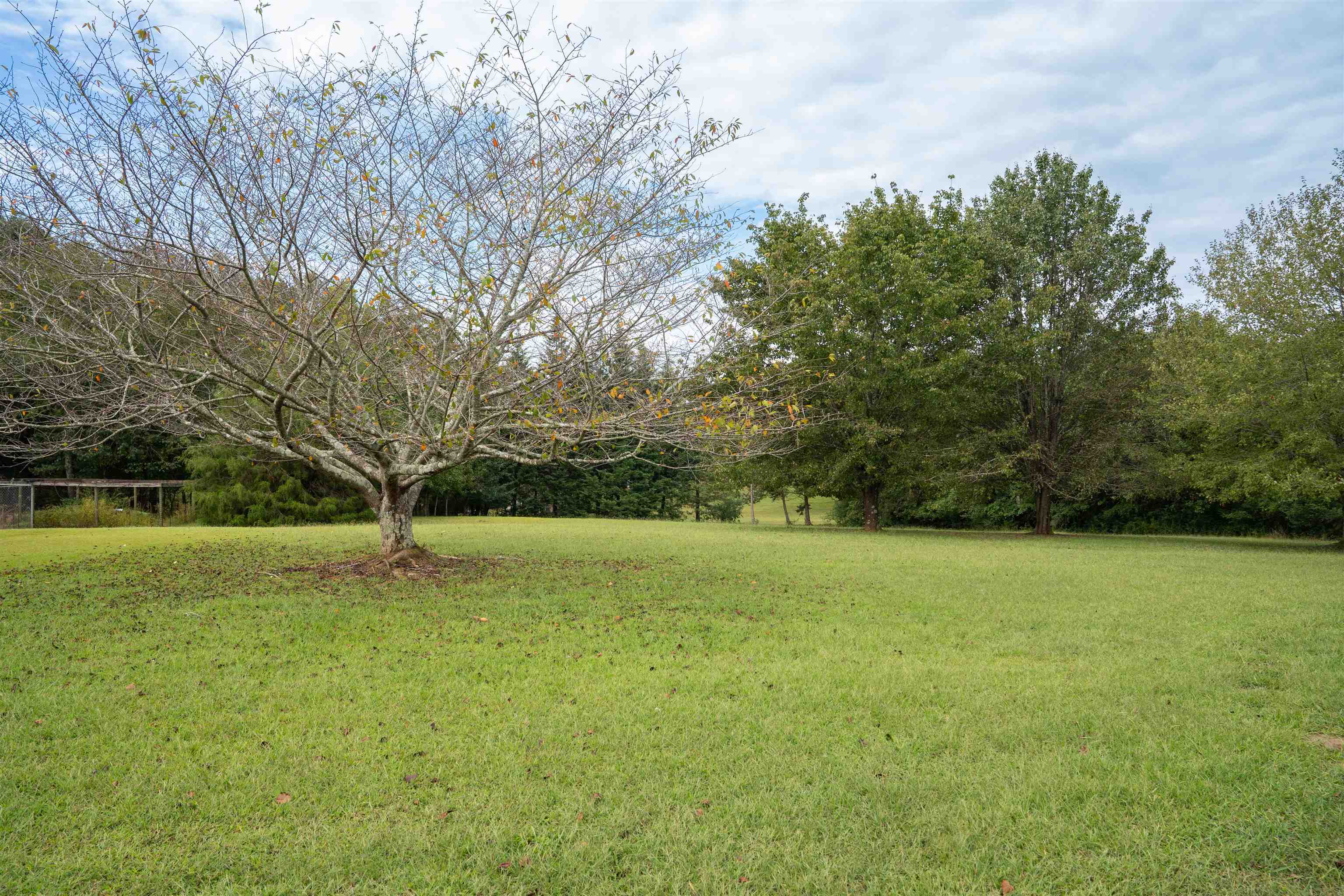 3981 New Cut Road Inman, SC 29349 - Photo 48 of 50