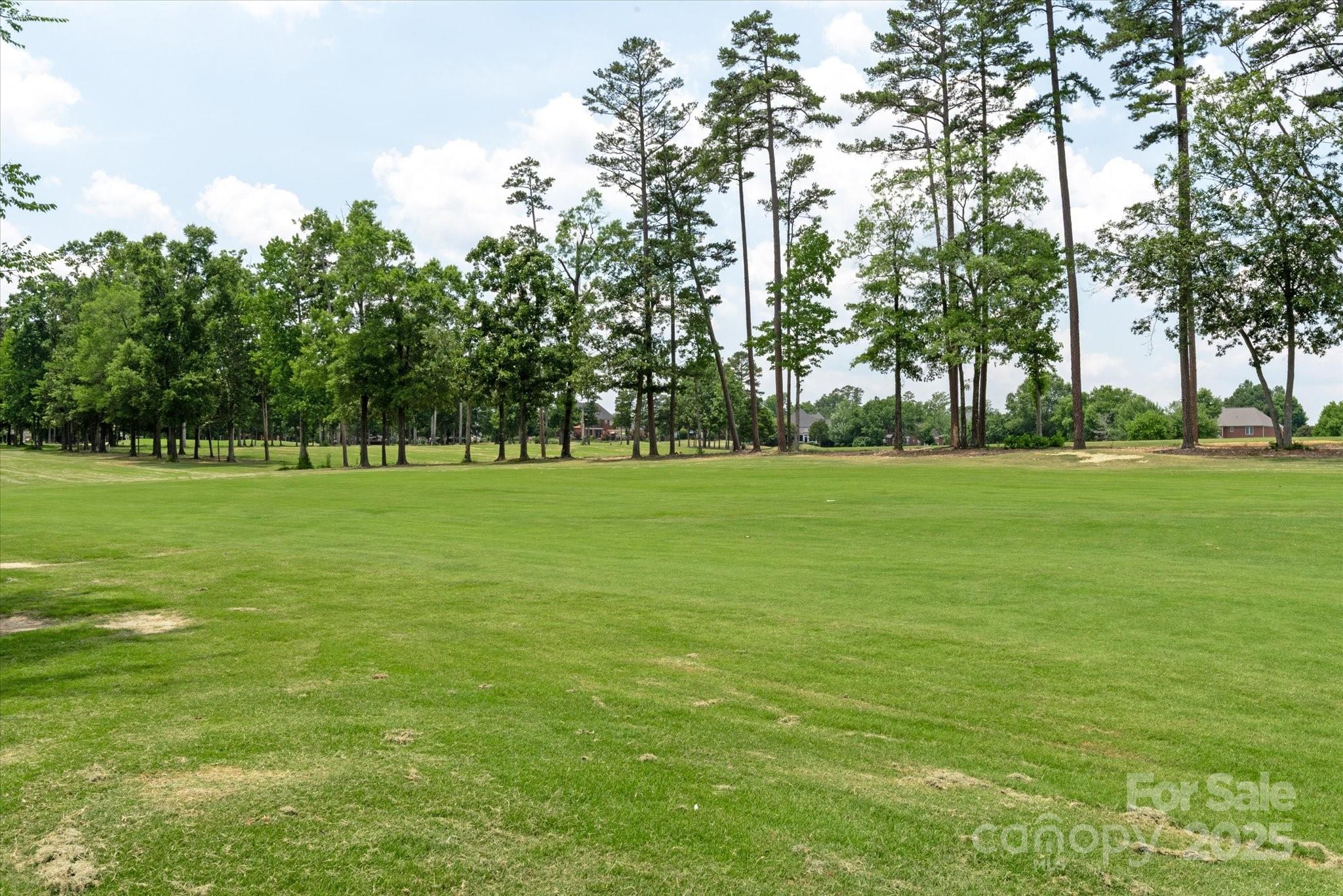 3003 Wedge Court Matthews, NC 28104 - Photo 37 of 39