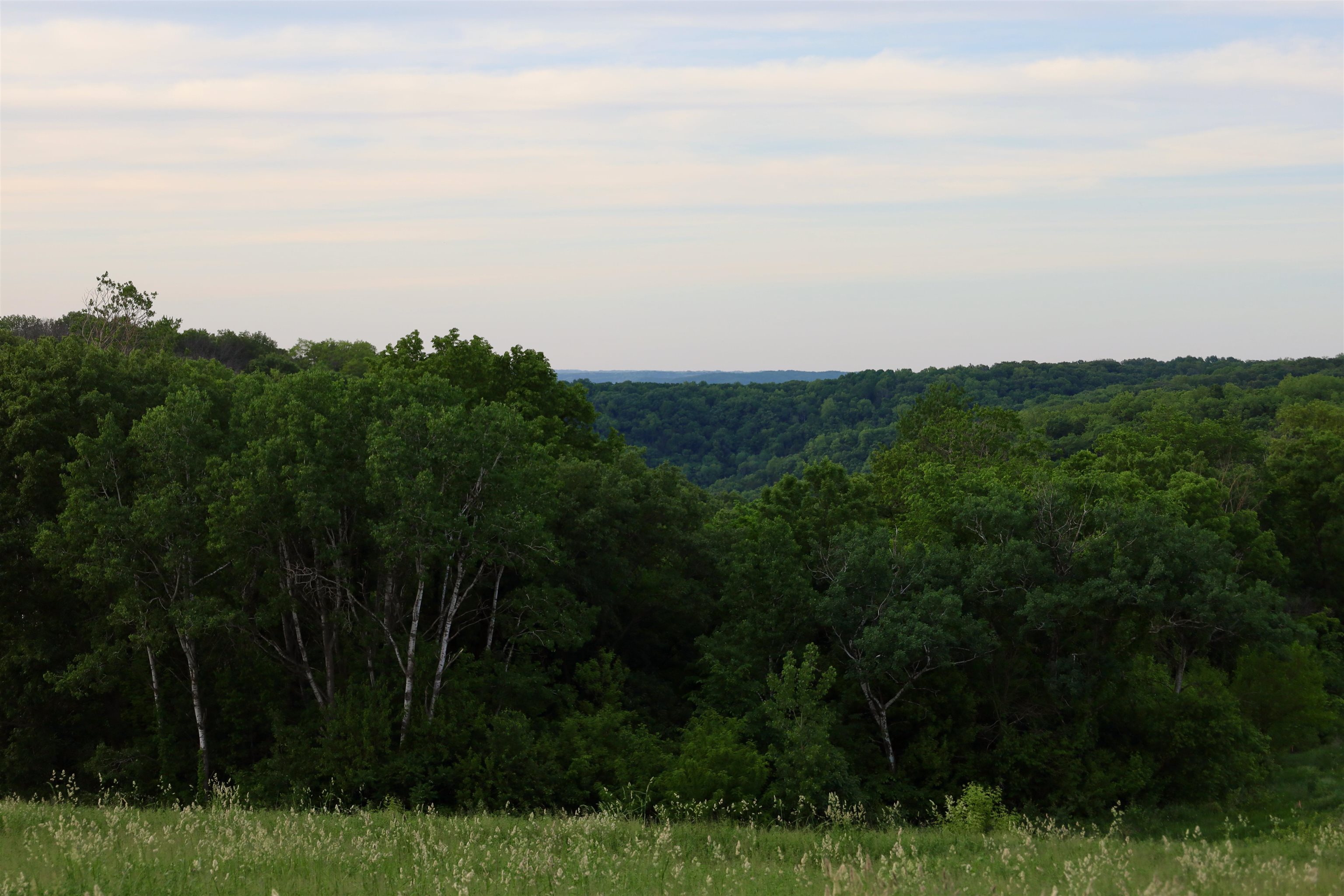 0 County M Boscobel, WI 53805 - Photo 23 of 32