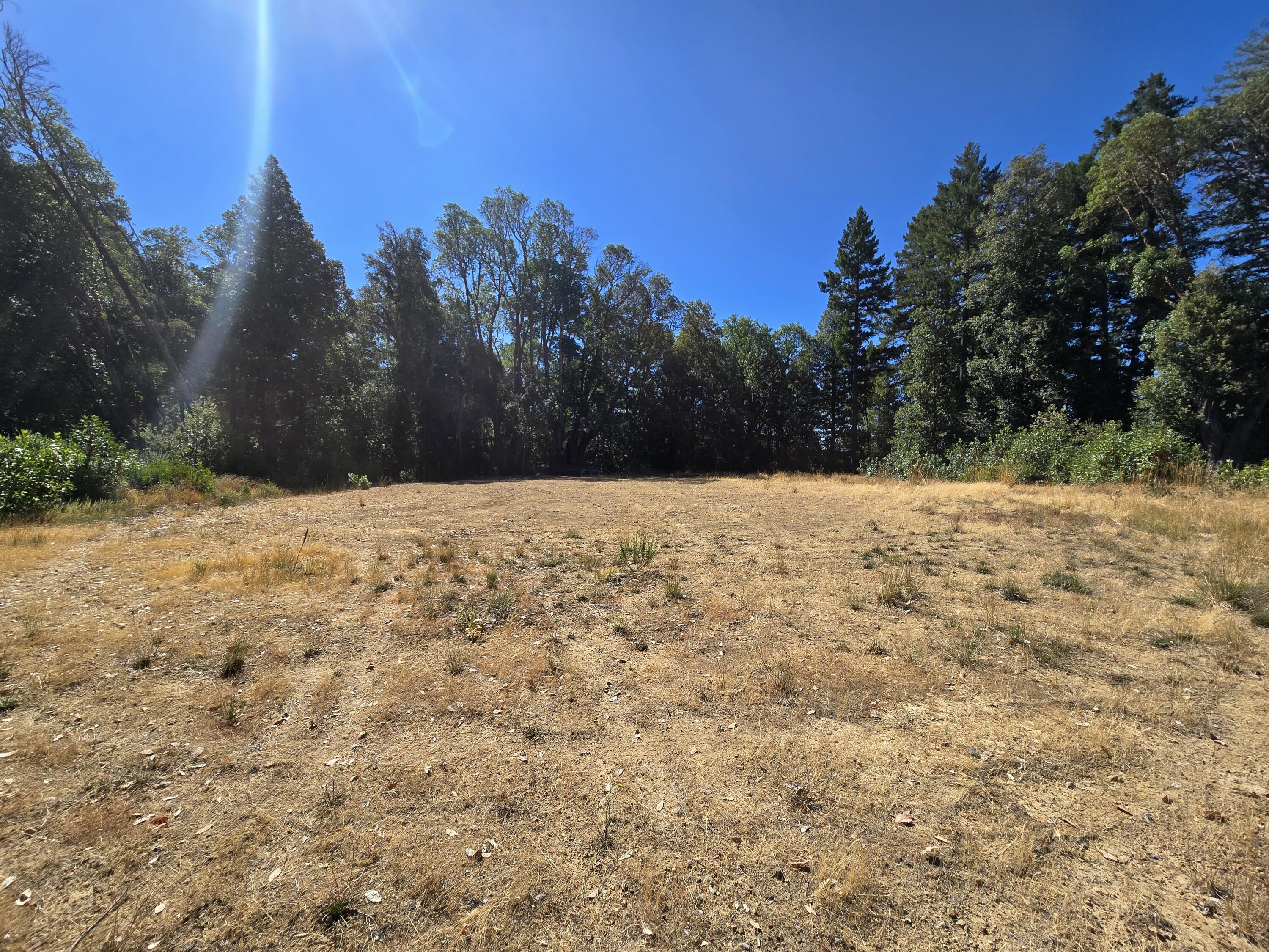 81515 Milstead Road Garberville, CA 95542 - Photo 9 of 38