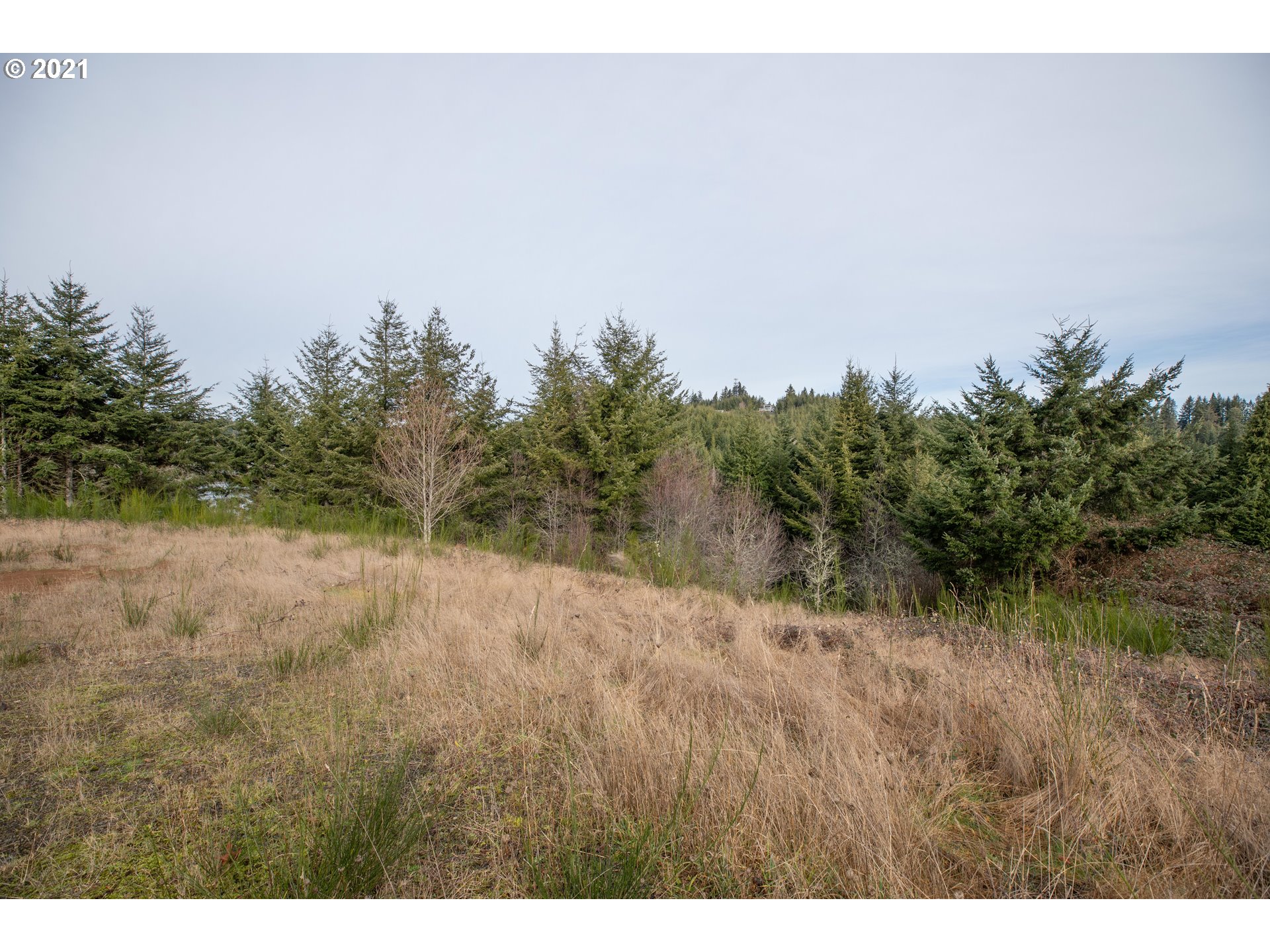0 Double Eagle Road, Unit 1907 Coos Bay, OR 97420 - Photo 11 of 13 Gallery Image 11