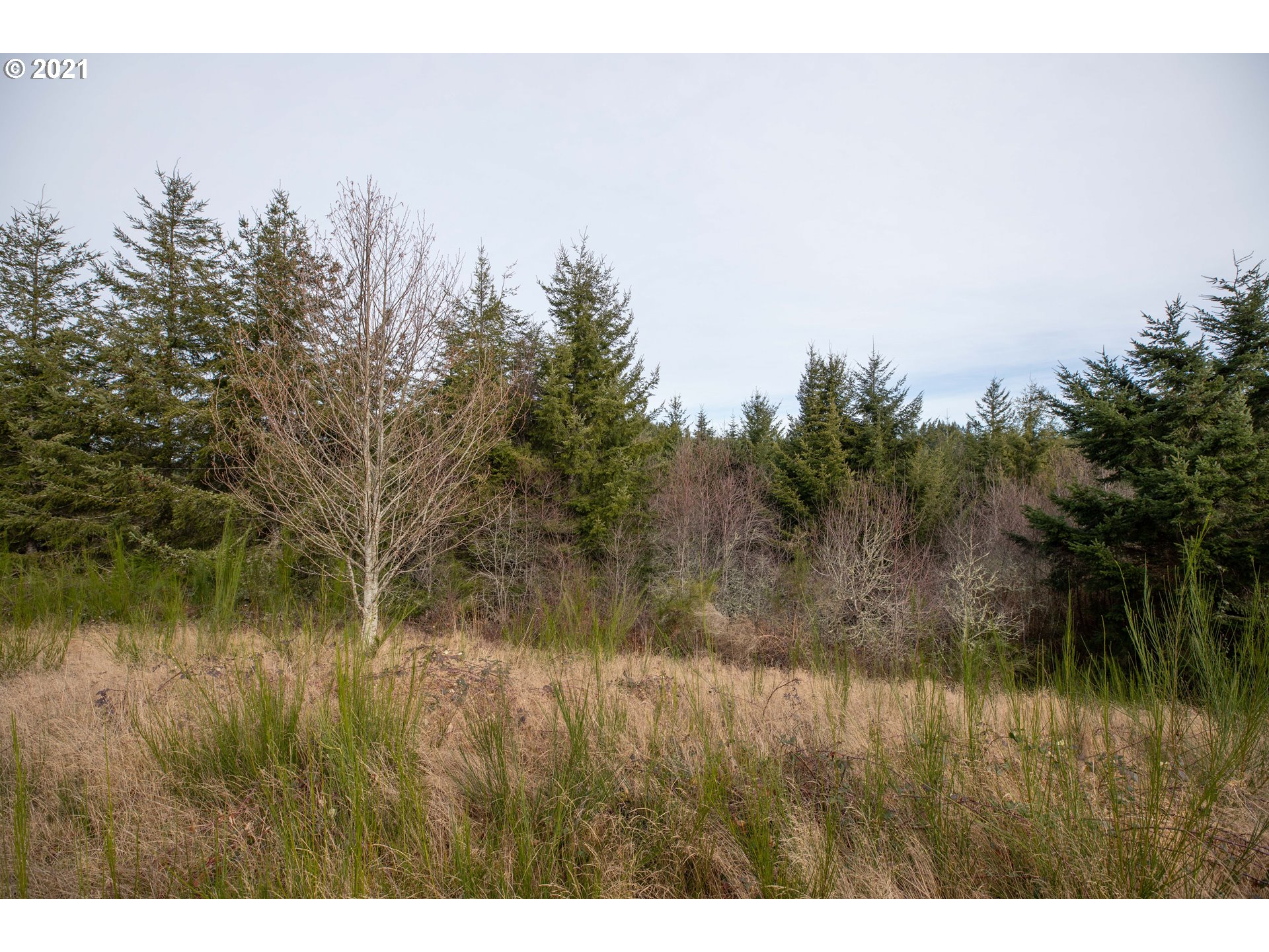 0 Double Eagle Road, Unit 1907 Coos Bay, OR 97420 - Photo 5 of 13 Gallery Image 5