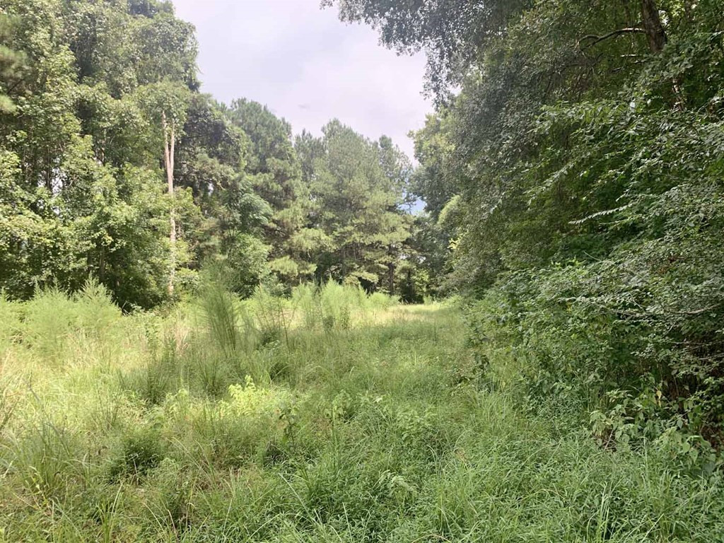0 Garden City Road Roxie, MS 39661 - Photo 15 of 45 Photo 15