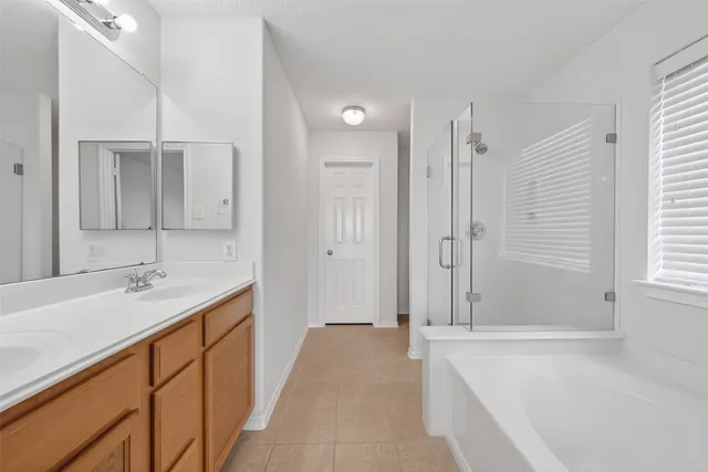 a bathroom with a sink and a large mirror