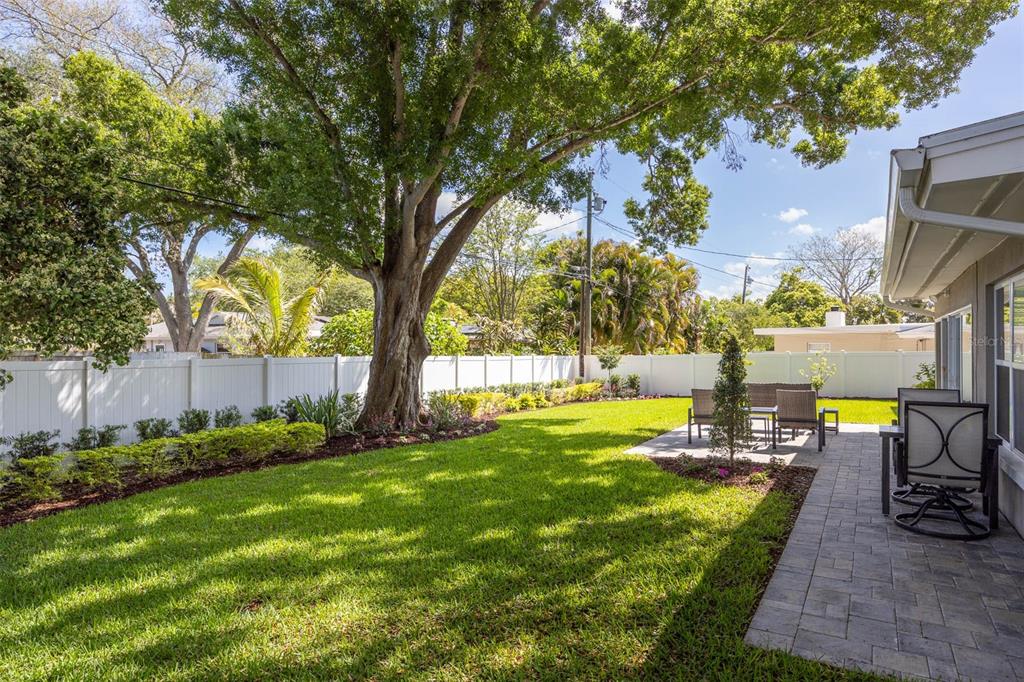 1218 Taylor Avenue Dunedin, FL 34698 - Photo 18 of 53 a view of a backyard