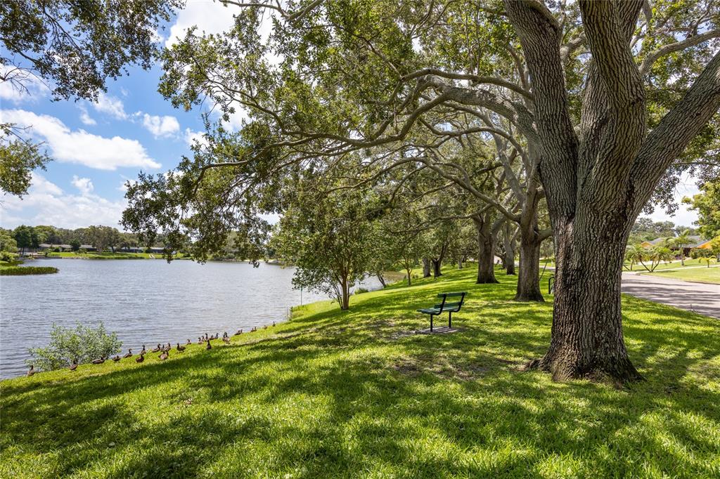 1218 Taylor Avenue Dunedin, FL 34698 - Photo 30 of 53 a large yard with lots of green space and lake view in back