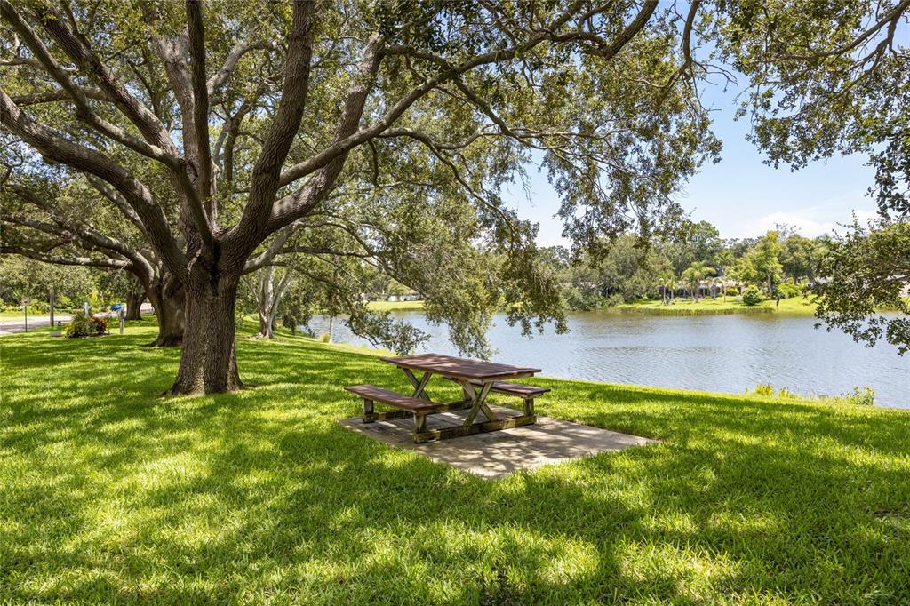 1218 Taylor Avenue Dunedin, FL 34698 - Photo 31 of 53 a backyard of a house with lots of green space