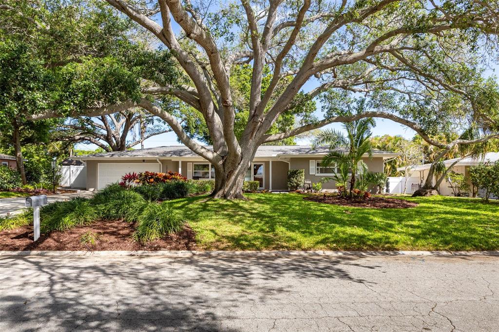 1218 Taylor Avenue Dunedin, FL 34698 - Photo 35 of 53 a front view of a house with a garden